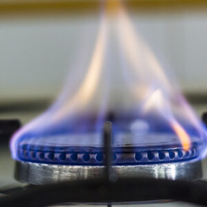 Gas Inspection