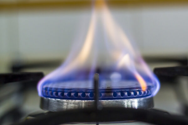 Gas Inspection